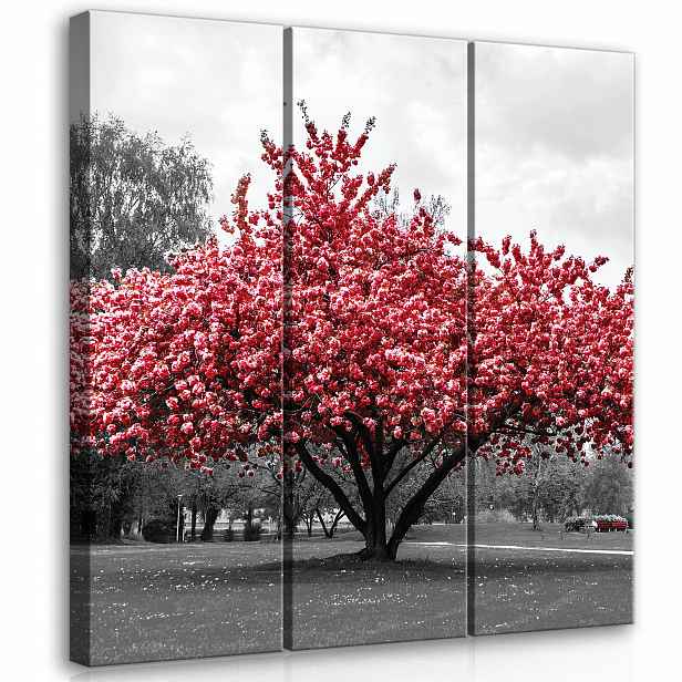 Obraz do obývacího pokoje Dřevo moderní triptych 90x100