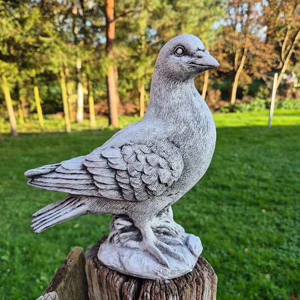 Holub Betonová figurka 3kg 24cm Zahradní figurka, dekorace, ozdoba z betonu