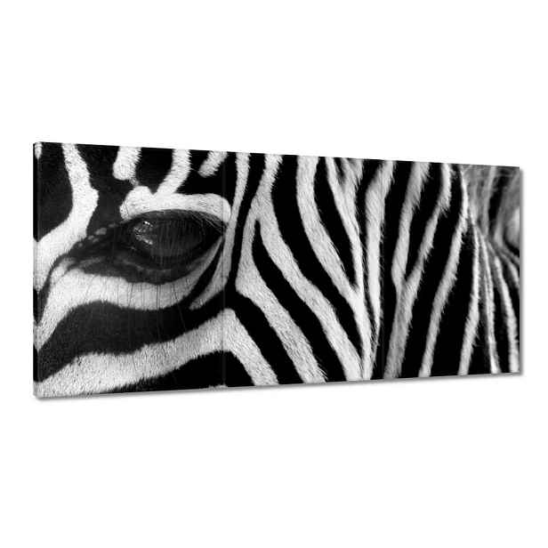 Obrazy 180x90 Černobílé pruhy Zebra