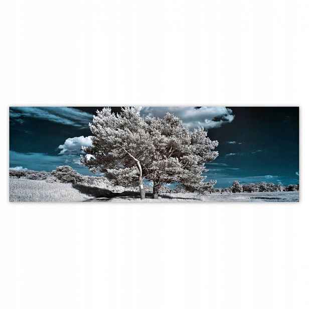 Fototapety 200x66 Majestátní strom