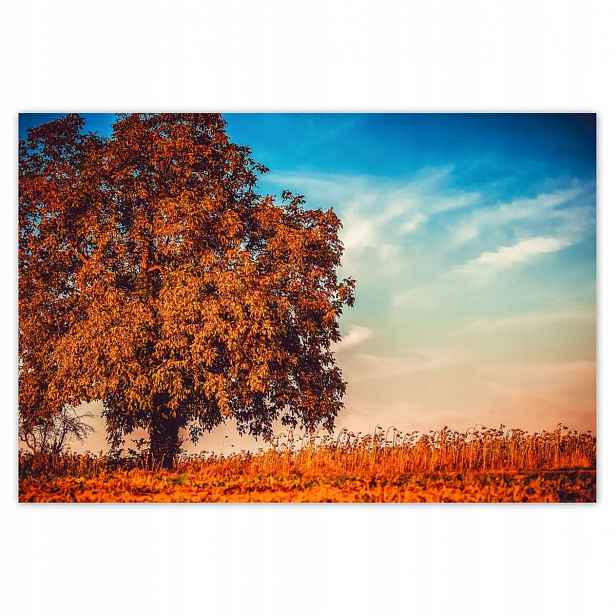 Fototapety 200x135 Podzimní barvy Krajina