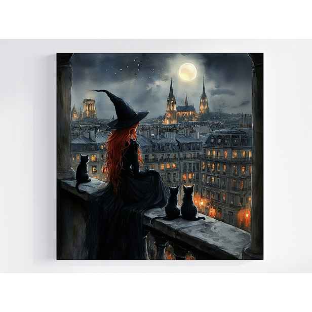 Obraz Na Plátně Canvas Město Paříž Panorama Noc Čaroděj Kočky 50x50