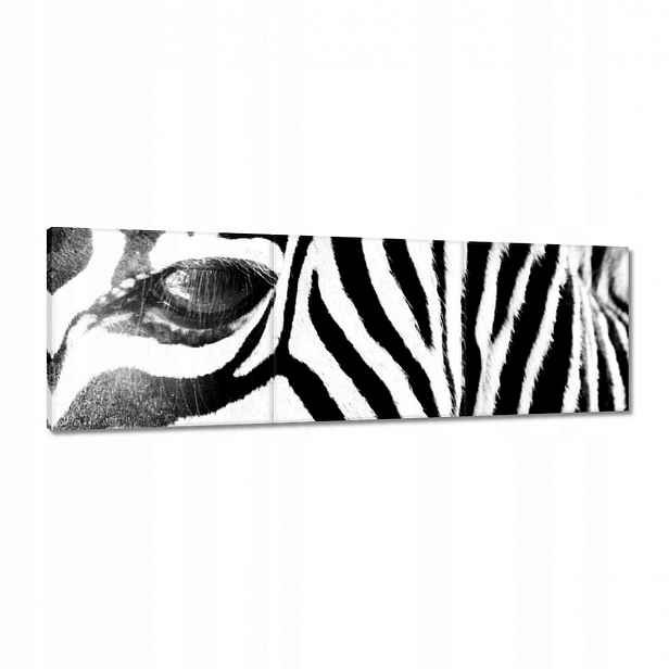 Obrazy 120x40 Zebra Pruhy