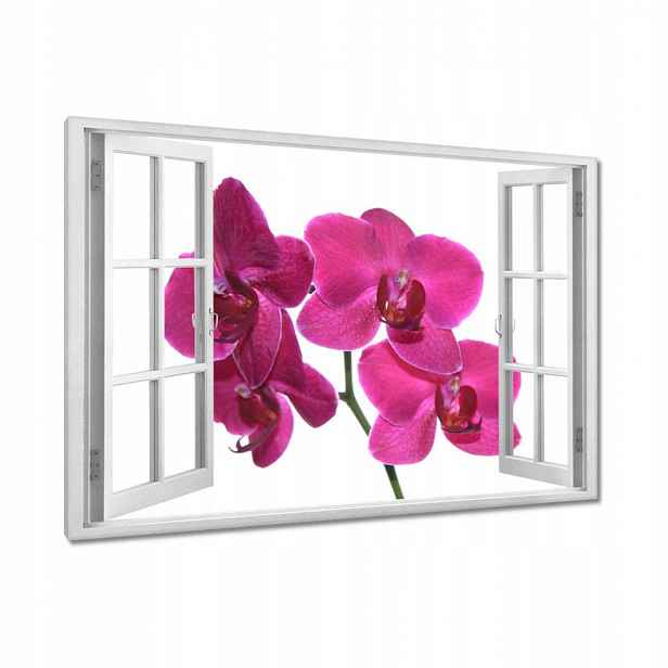 Obrazy 120x80 Fialový orchidej