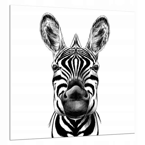 Skleněná Deska Ochranná 60x65 Zebra