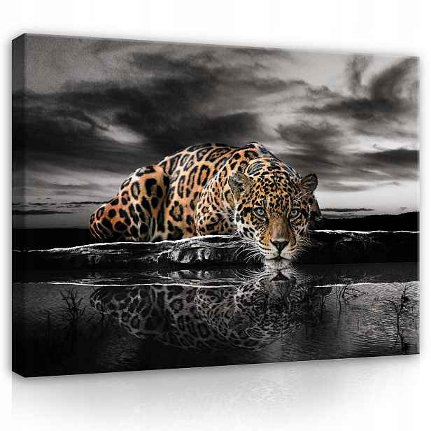 Obraz 100x75 Jaguar dravec divoká příroda odraz voda obloha mraky