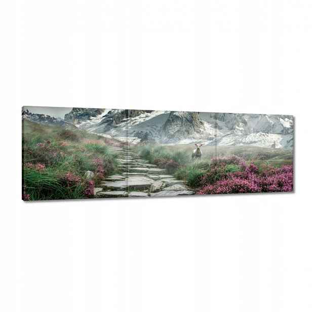 Obrazy 120x40 Horský pohled Krajina Mlha