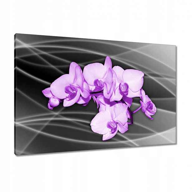 Obrazy 90x60 Pěkný květ orchidej fialový