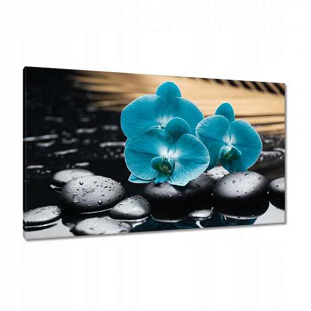 Obrazy 120x70 Tyrkysový orchidej Květina