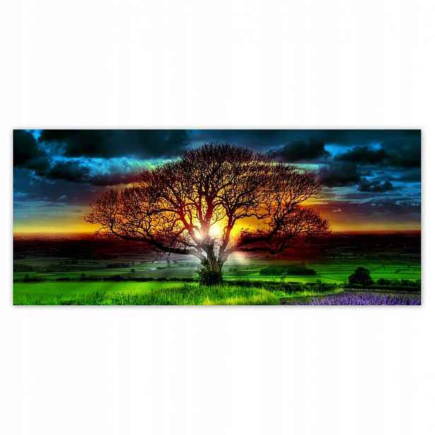 Fototapety 211x91 Strom života