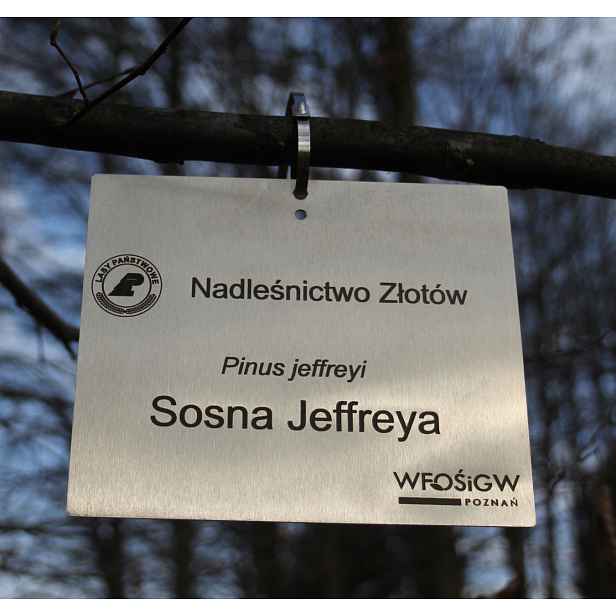 Zahradní štítek s přívěskem/značkou, nerezový, laserové gravírování (155x105