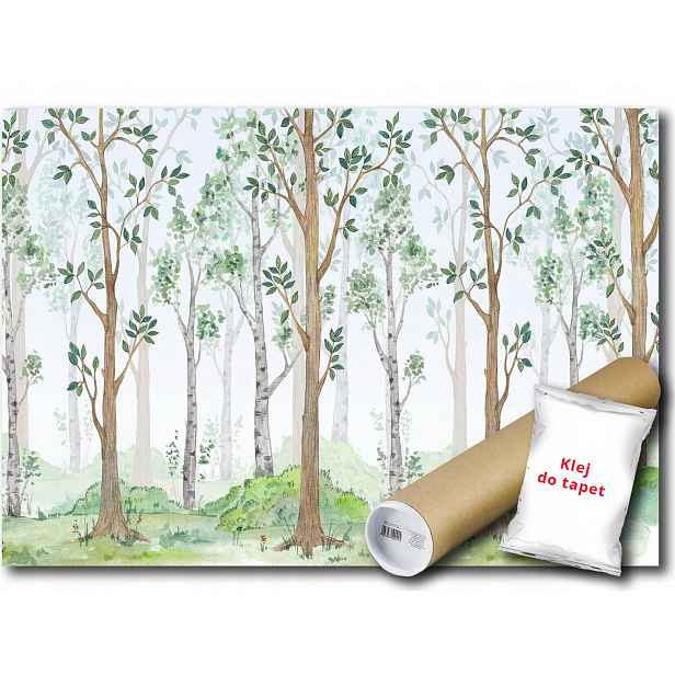Vinylová Fototapeta Les Stromy 152x104