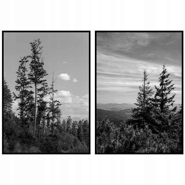 Plakáty diptych les stromy krajina černobílé plakáty na zeď 70x100 cm