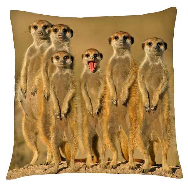 Povlak na polštář ANIMAL 18 - SURIKATY Mybesthome 40x40 cm