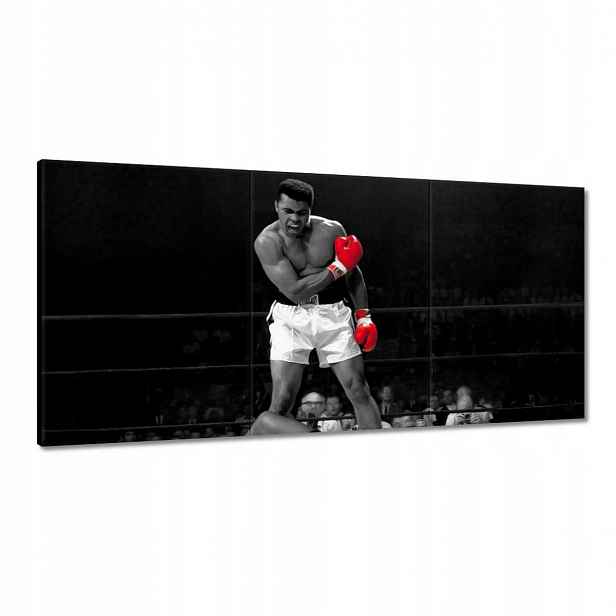 Obraz 180x90 Muhammad Ali Boxer
