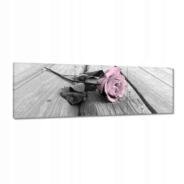 Obrazy 120x40 Pudrová růžová Old pink Rose