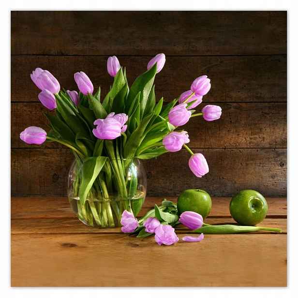 Plakáty 140x140 Fialové tulipány