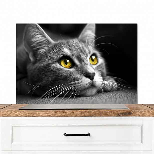 MuchoWow KUCHYŇSKÁ ZÁSTĚNA Kočka - Grey - Zvířata - Cat 90x60 cm