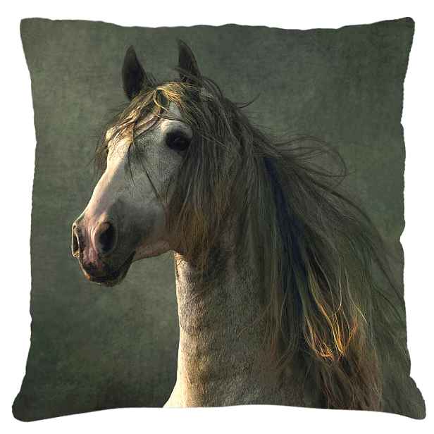 Povlak na polštář s motivem koně 22  Mybesthome 40x40 cm