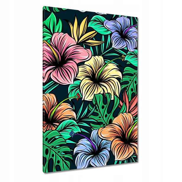 Obrazy 80x120 Monstera Zelený list