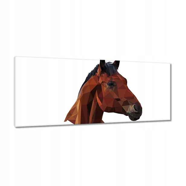 Obrazy 100x40 Hlava koně Koňská hlava