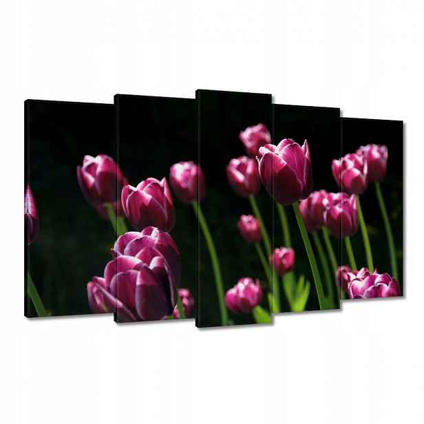 Obrazy 100x60 Fialové tulipány