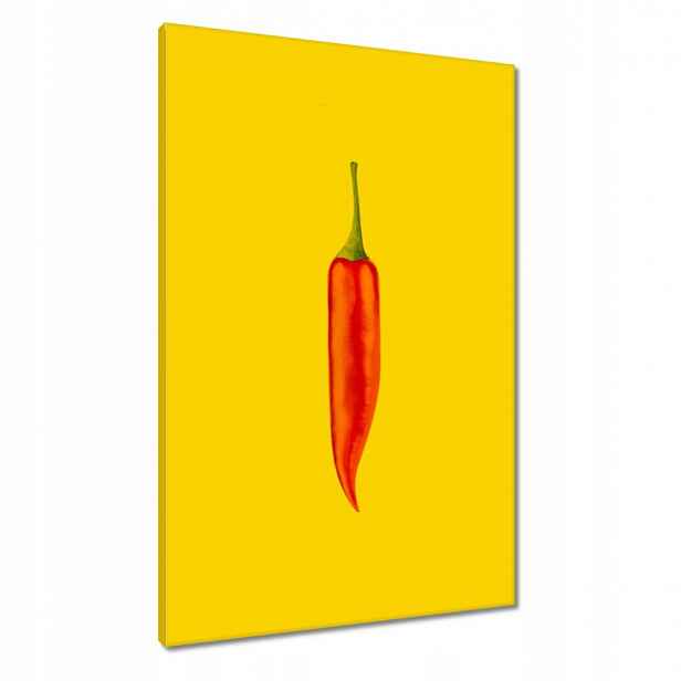 Obrazy 60x90 Červená chilli paprička
