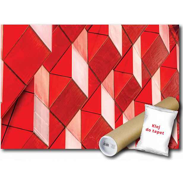 Fototapeta Geometria 3D 10B V4 254x184 F12655