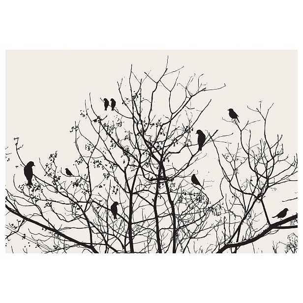 Fototapeta Větve a ptáci béžovo-černá minimalistická 300x210 lepidlo