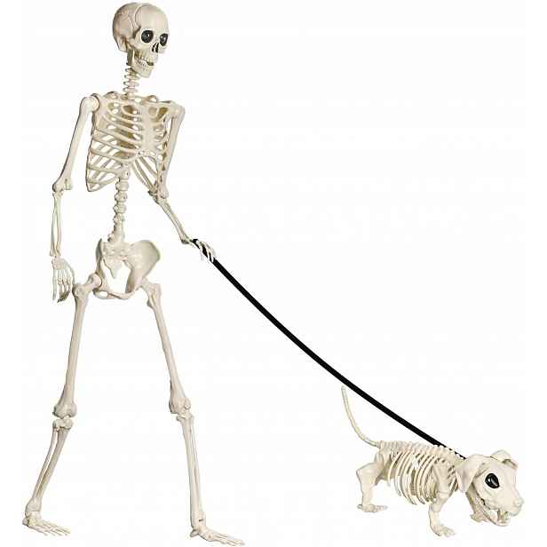 Kostra Halloween 165 CM Přírodní Velikosti Pohyblivé Klouby Plné Tělo