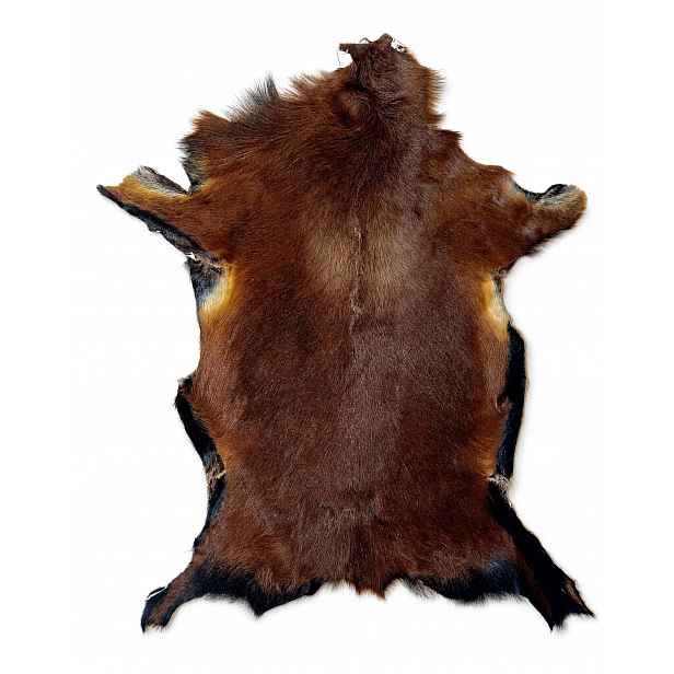 Ovčí kůže „kameruňská“ Tmavě hnědá-80 cm/L (Jehněčí) 100% přírodní!