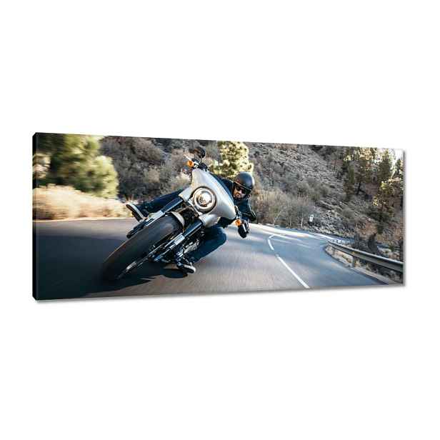 Obrazy 100x40 Harley Davidson Motocykl