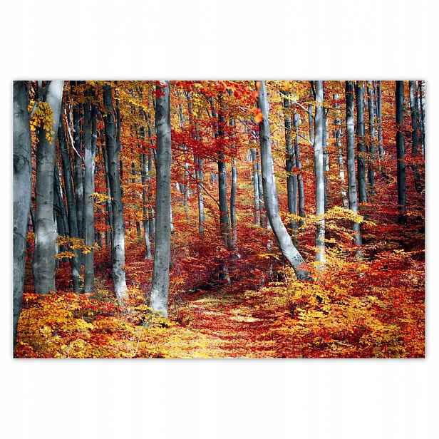 Plakáty 185x125 Krajina