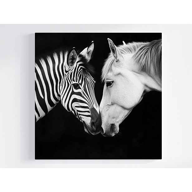 Obraz Na Plátně Canvas Portrét Kůň Zebra Bílá Černá Kontrast B&w 50x50