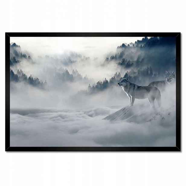 Plakáty v rámu 60x40 Vlci v přírodě