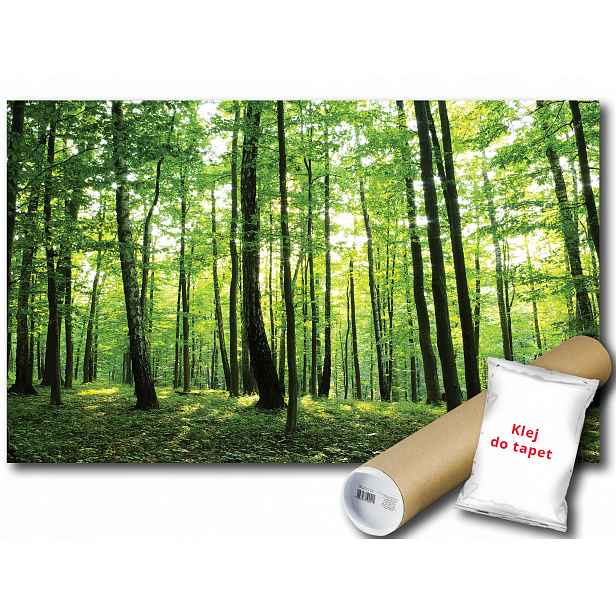 Fototapeta Zelený Les 19A Fxl 208x146 F186