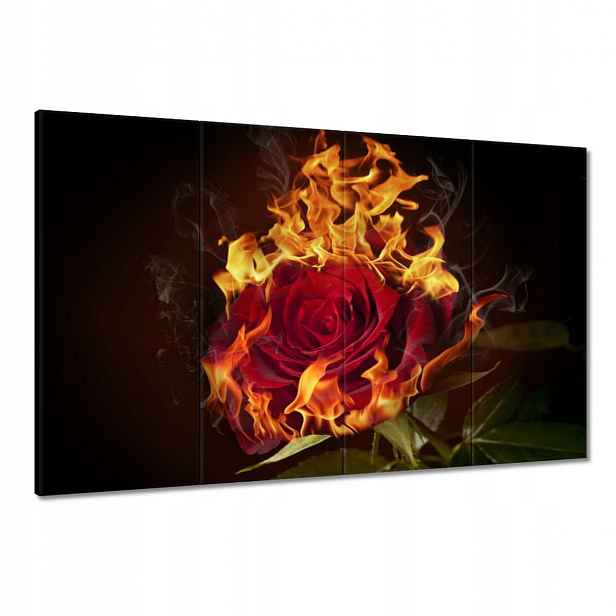 Obrazy 120x80 Červená hořící růže