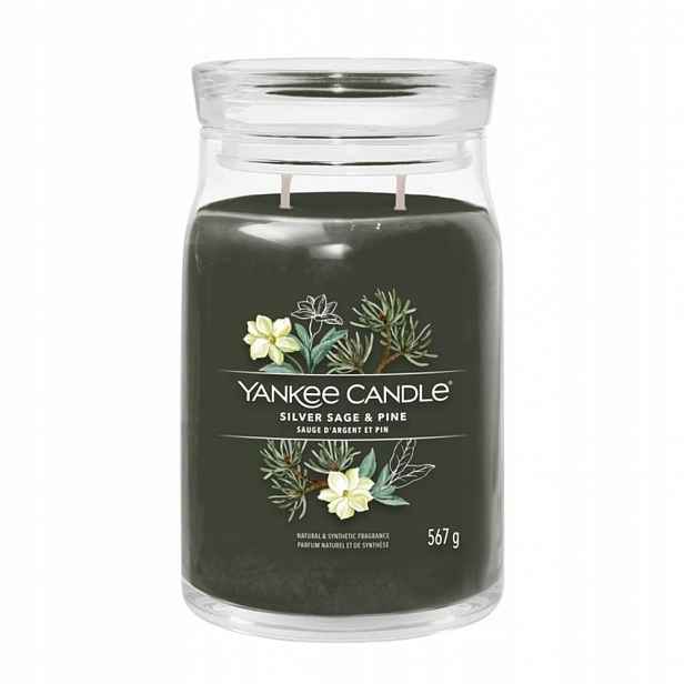 Yankee Candle Silver Sage & Pine Velká svíčka