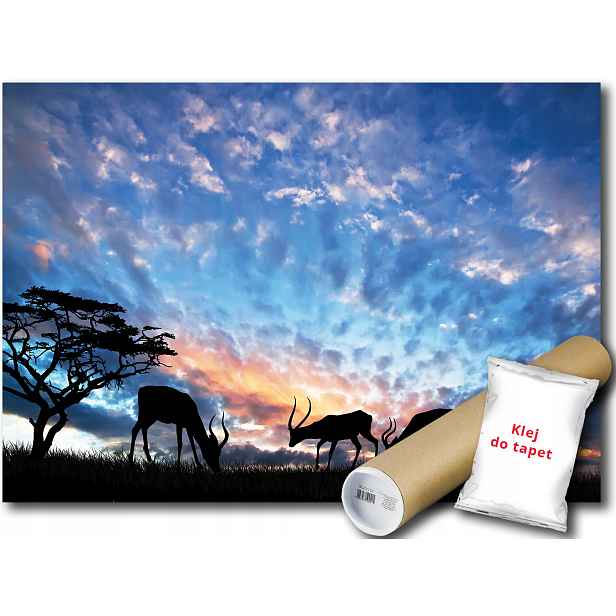 Fototapeta Západ Slunce 7A F2XL 312x219 F12642