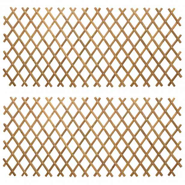 vidaXL Rozkládací trelážová oplocení 2 ks 100 x 105 cm Bambus
