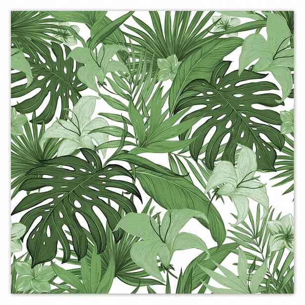 Plakáty 140x140 Monstera Moderní vzor