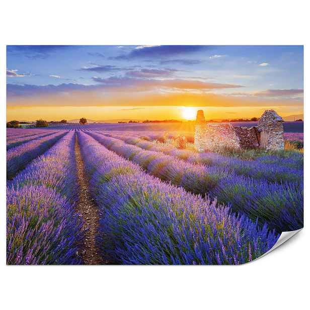 Muralo FOTOTAPETA do Obývacího Pokoje Levandulové Pole Západ Slunce Fialová 100x70