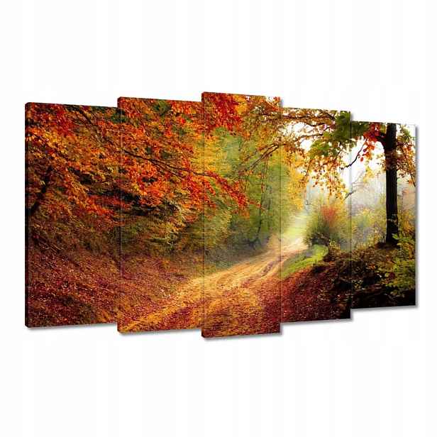 Obrazy 100x60 Cesta v lese podzim