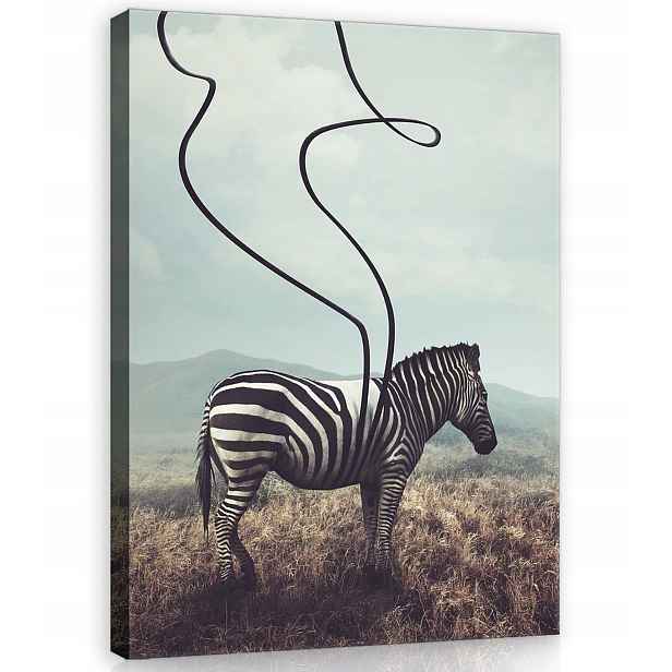 Obraz Na Plátně Canvas 50x70 Zebra Pruhy Krajina