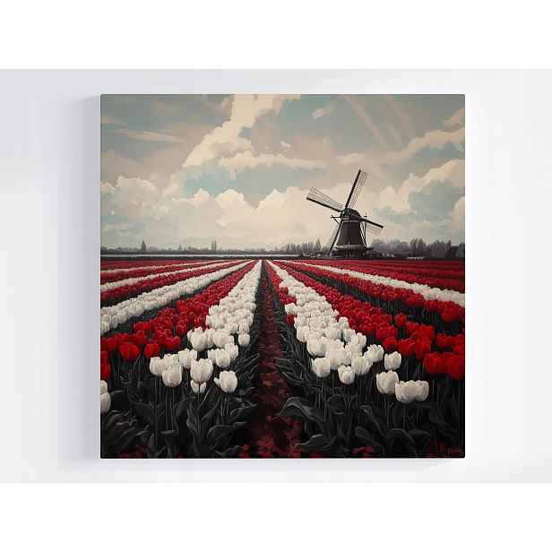 Obraz Na Plátně Canvas Tulipány Větrník Nizozemsko Květiny Pole 50x50