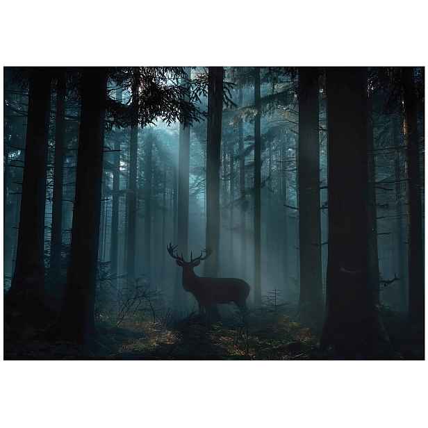 Fototapeta Zelený Les Stromy Tapeta Do Předsíně Obývacího Pokoje Kanceláře 400x280