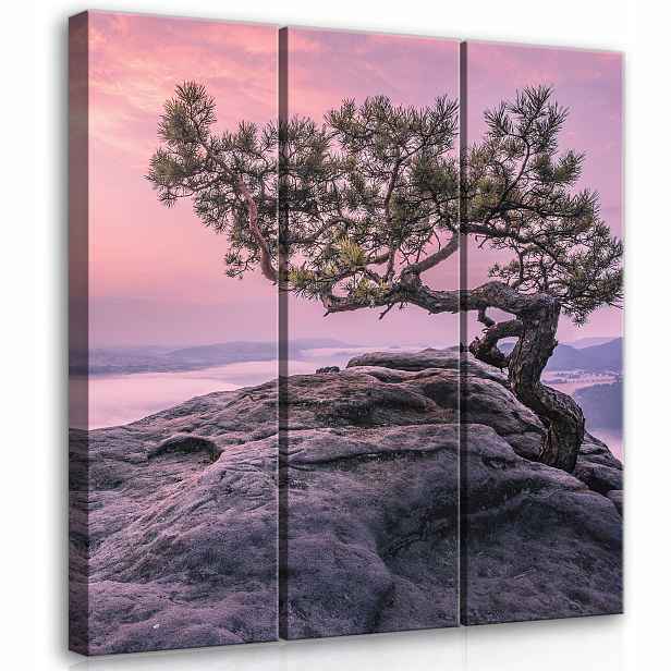 Obraz do obývacího pokoje Dřevo Hory velký XL triptych 90x100