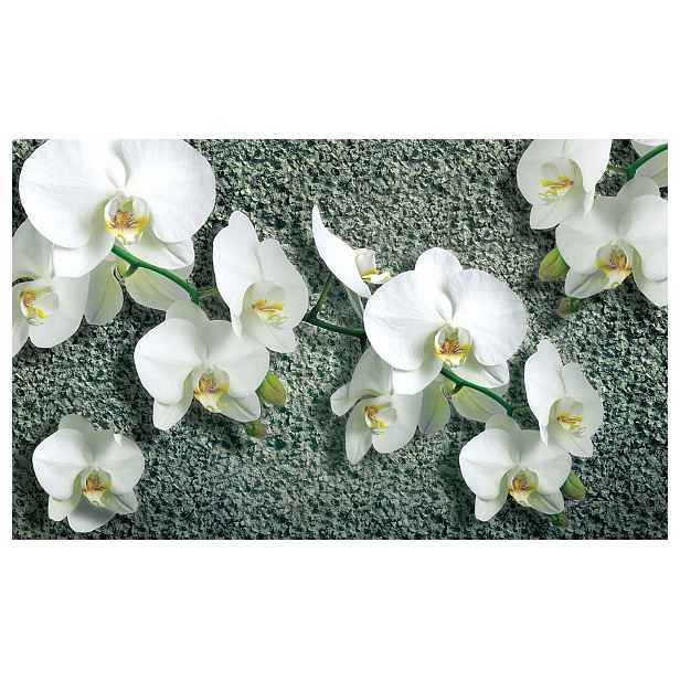 Fototapeta Flizelina Bílé Orchideje elegance a klid v domě 312x219 lepidlo