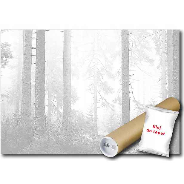 Vinylová fototapeta Les stromy příroda 152x104
