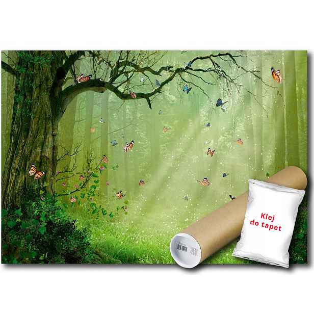 Vinylová fototapeta Les motýli stromy 152x104